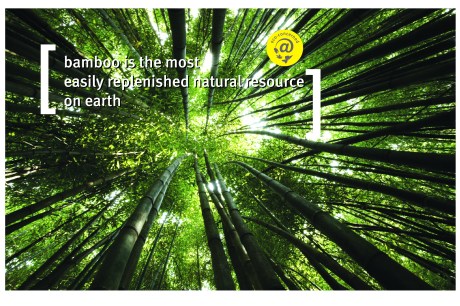 L553 Eco Poster bamboo